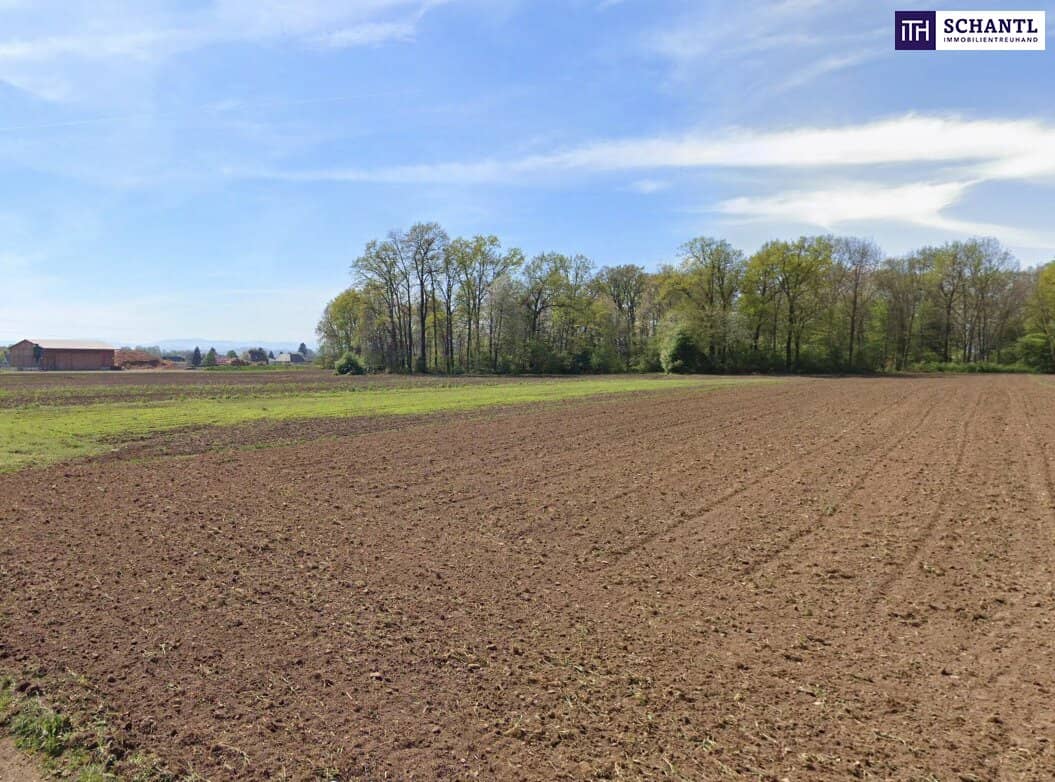 Gewerbegrundstück 9787 m² in Leibnitz