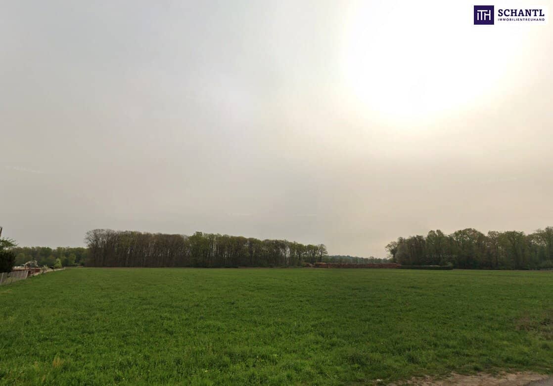 Gewerbegrundstück 9787 m² in Leibnitz