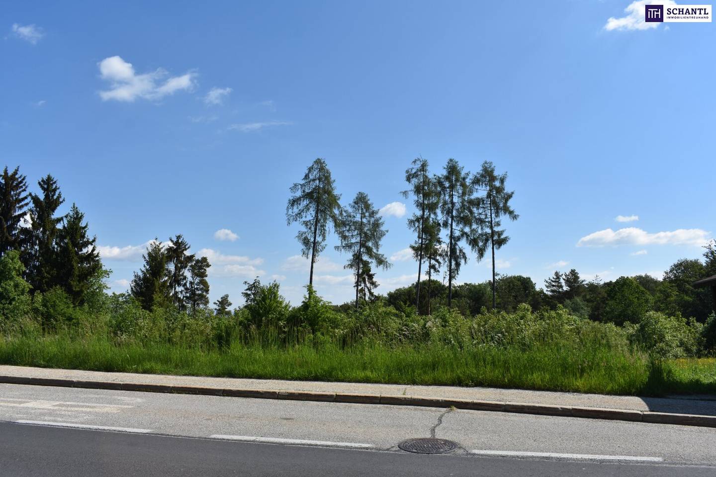 Bauträgergrundstück Laßnitzhöhe 5.194 m²