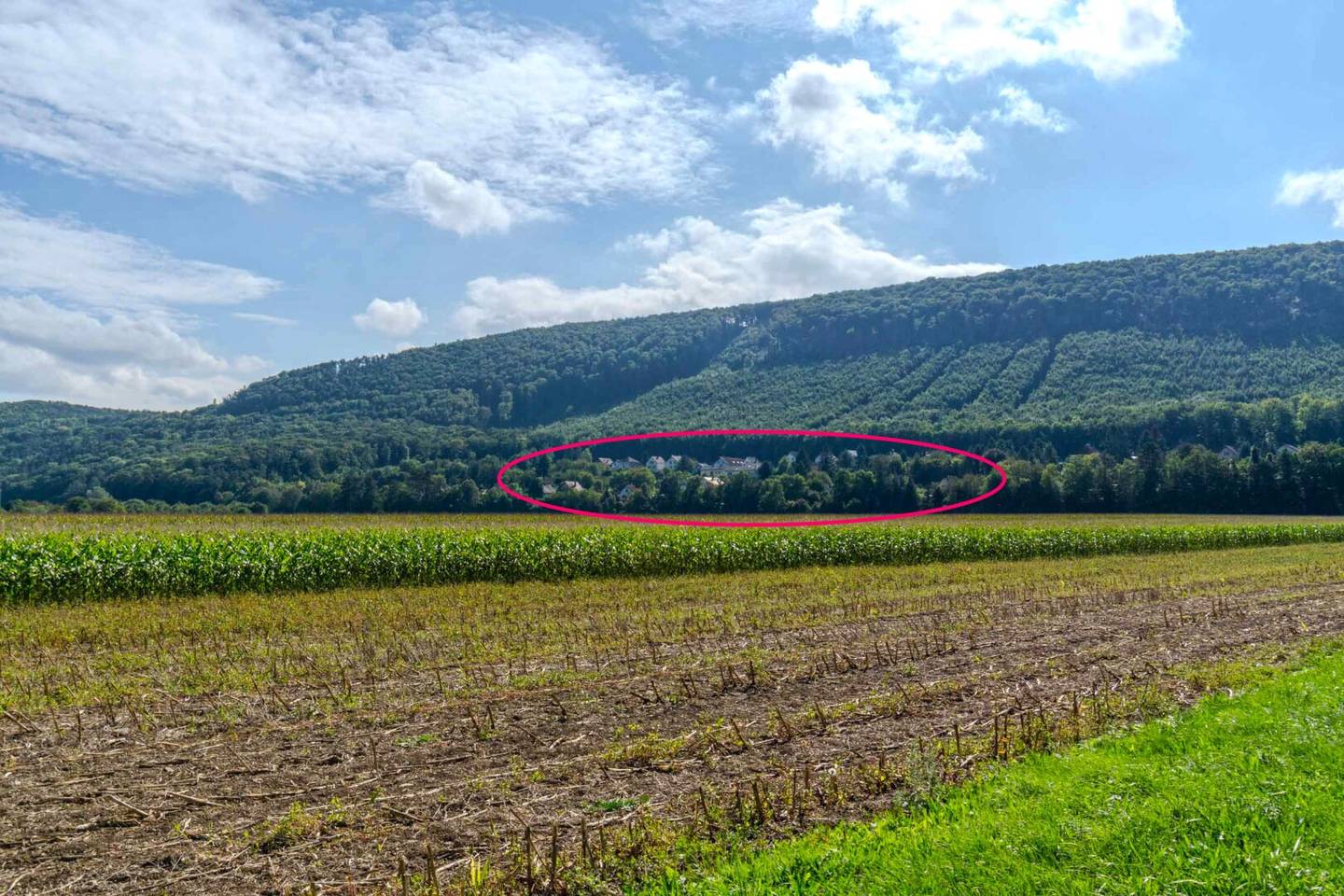 Idyllic country house in a residential settlement at the forest edge in Triestingtal, southern mountain region near Vienna