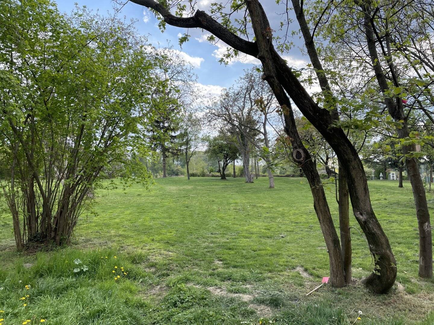 Wohnen mit Urlaubsfeeling Pur direkt bei der Obere Alte Donau: 4-Zimmer mit gartenseitiger Loggia!