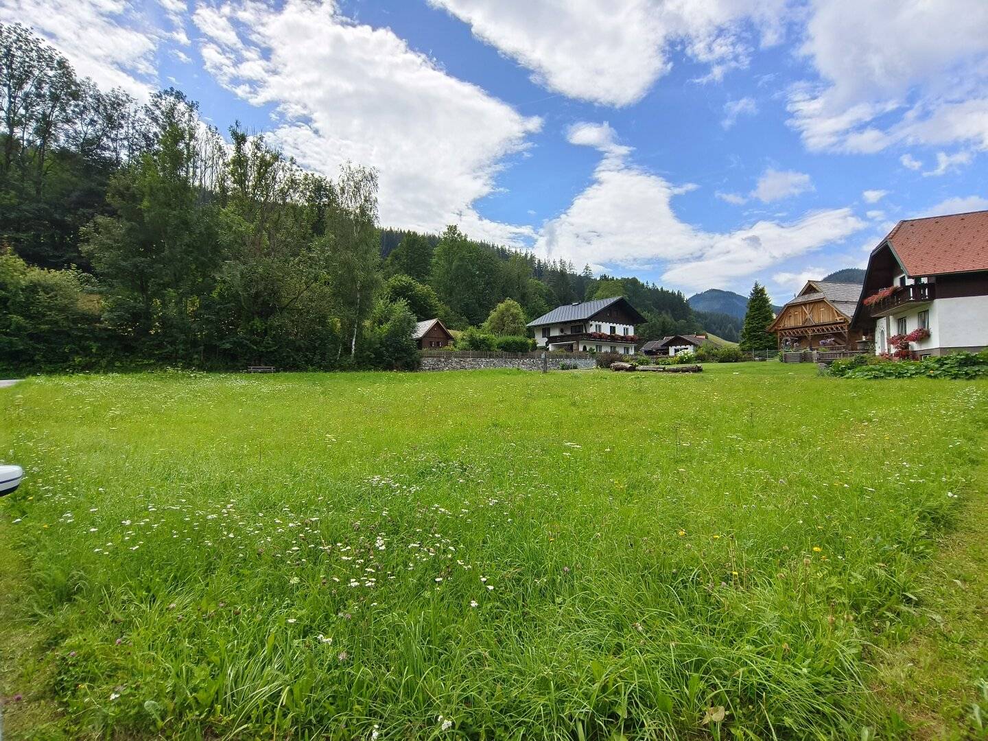 Dreamlike plot in Etmißl for sale commission free for buyers