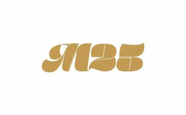 Projekt Margaretenstraße 25